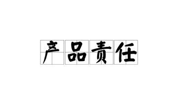 成长与责任任的演讲稿8篇