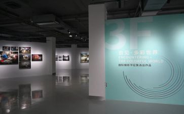 展览活动方案8篇