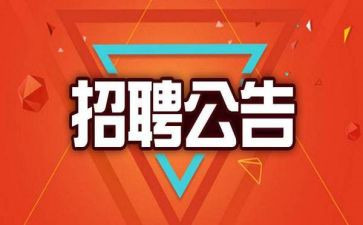 招聘年度总结6篇