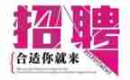 招聘前的工作计划6篇
