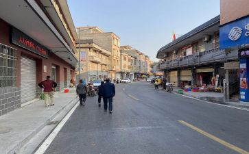镇审计所工作计划参考5篇