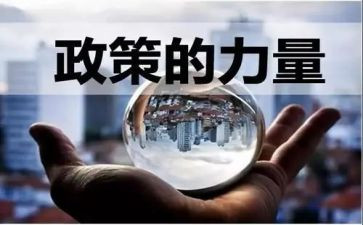 党政策的心得体会优秀8篇