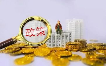 党政策的心得体会8篇