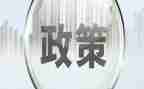 教师双减政策心得体会8篇