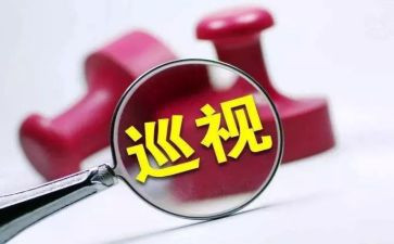 巡察整改报告精选6篇