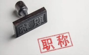 申报正高级教师工作总结7篇