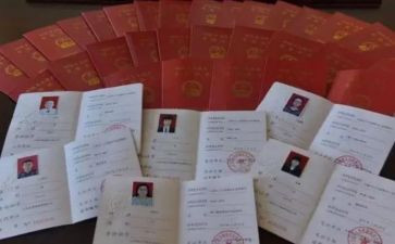 晋升正高级医师工作总结8篇