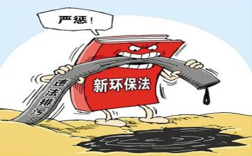 环境整治年终总结7篇