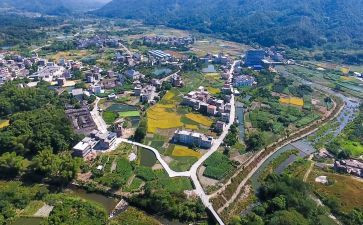 乡村振兴工作总结模板5篇