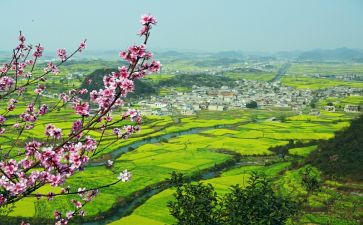 乡村振兴体会心得体会通用5篇