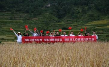 文化振兴心得体会8篇