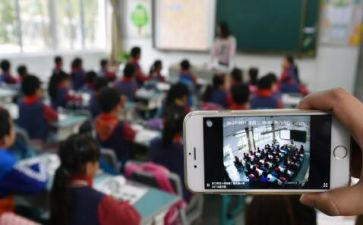 双11直播活动方案策划6篇