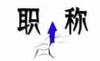 医师评职称自我鉴定6篇
