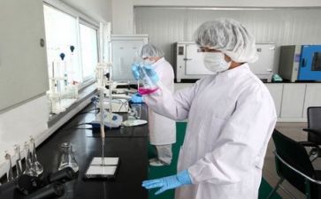 质量科工作总结优质7篇