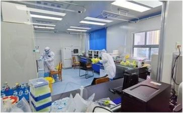质量与安全管理工作总结5篇