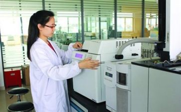 质量个人总结报告7篇
