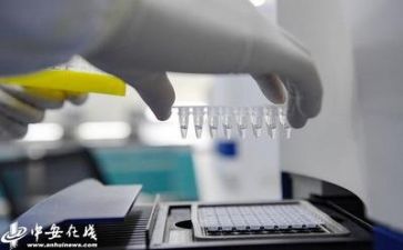 工作质量的心得体会优质8篇