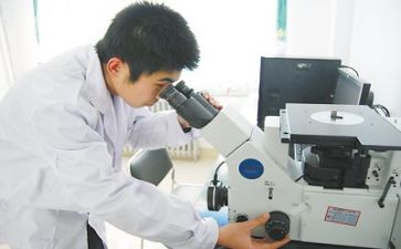 抓质量心得体会模板8篇