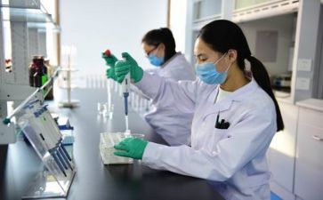 质量部半年工作总结8篇
