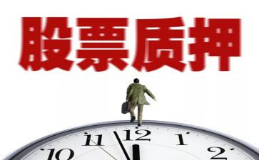 股权质押典当借款合同6篇