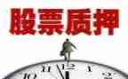 股权质押典当借款合同6篇