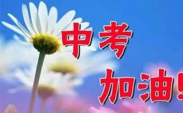 升中考的演讲稿参考8篇