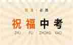 升中考的演讲稿模板8篇