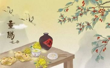 小学2024年重阳节活动方案7篇