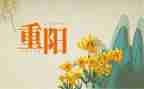 九九重阳节主题活动方案7篇