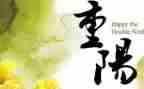 幼儿园重阳节活动方案及总结8篇