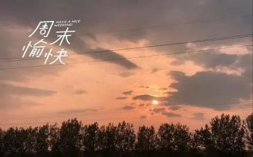 这周末的作文最新8篇