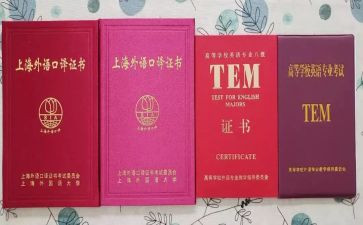 专八报告心得体会6篇