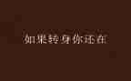 转身作文800字作文5篇