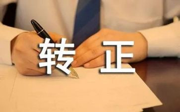 财务公司转正工作总结7篇