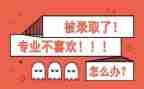 转专业教师工作总结8篇