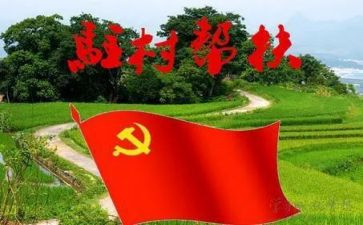 驻村干部个人总结5篇