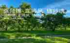 师德铸师魂的演讲稿6篇