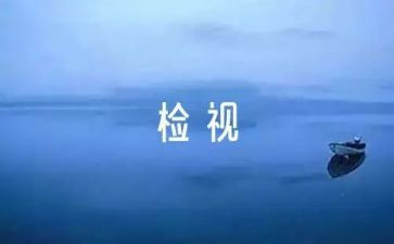 党员自检自查报告5篇