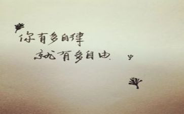 2024年教师廉洁自律个人总结8篇