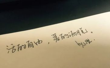 自由与读后感7篇