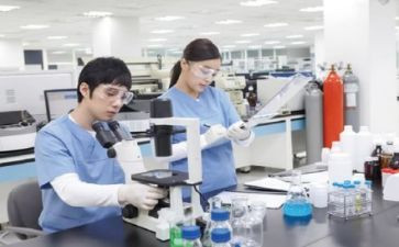 小学综合工作计划参考6篇