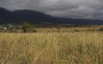 农村房屋租赁合同模板7篇