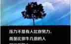 关座右铭的演讲稿6篇